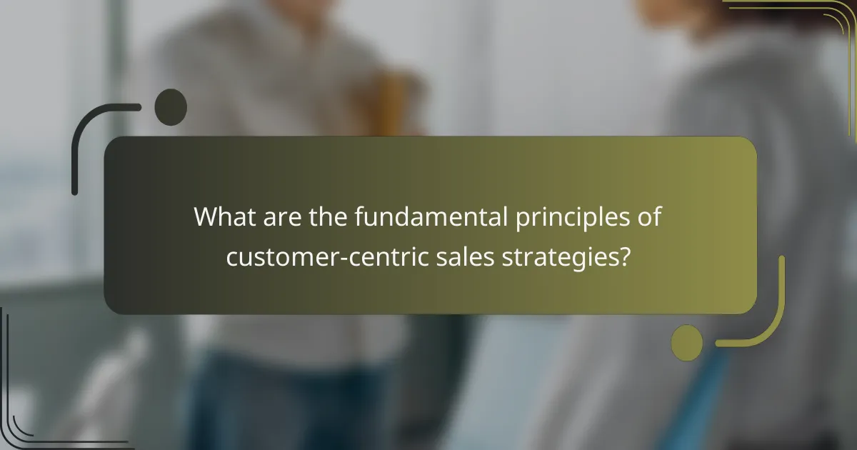 What are the fundamental principles of customer-centric sales strategies?