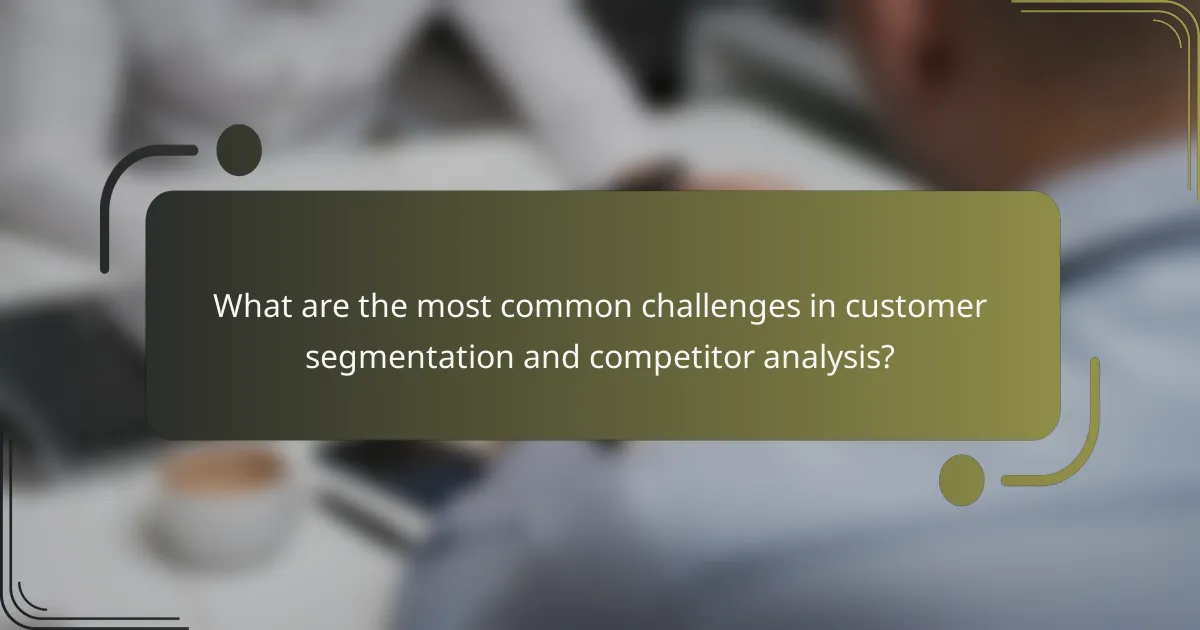 What are the most common challenges in customer segmentation and competitor analysis?